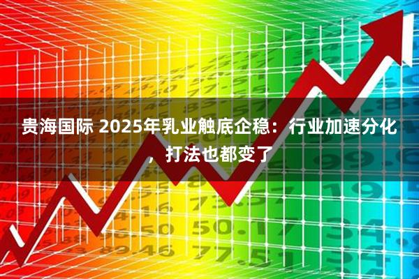 贵海国际 2025年乳业触底企稳：行业加速分化，打法也都变了